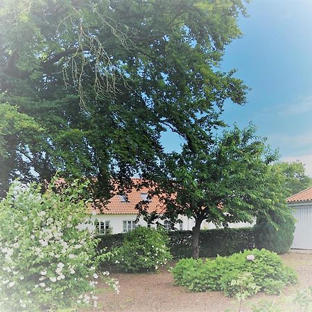 Pensionatet Ro Stenstrup Esterno foto